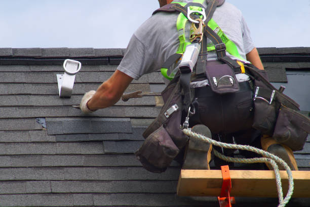 Best Roof Gutter Cleaning  in Morrisonvle, IL