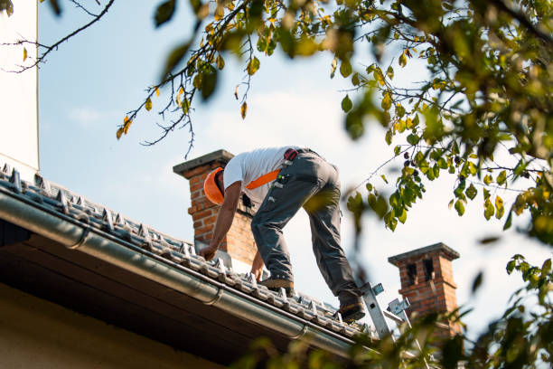 Best Gutter Installation and Roofing  in Morrisonvle, IL