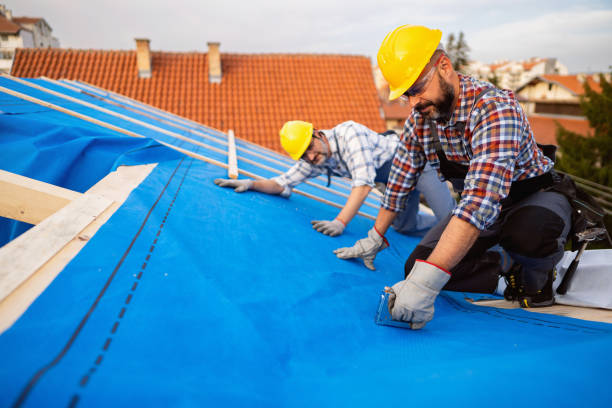 Roof Installation Near Me in Morrisonville, IL