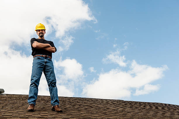 Best Residential Roof Replacement  in Morrisonvle, IL