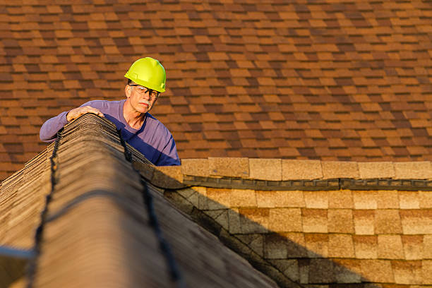 Best Roof Repair Services  in Morrisonvle, IL