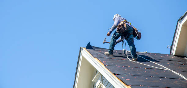 Best Flat Roof Repair Services  in Morrisonvle, IL